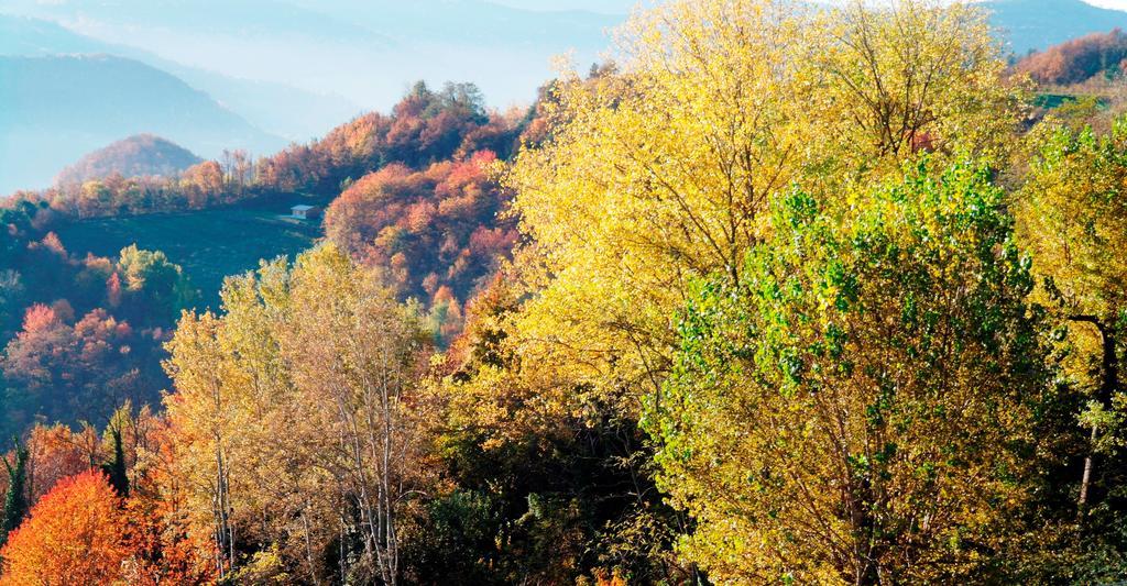 דירות Castino Borgo San Rocco Piemonte מראה חיצוני תמונה